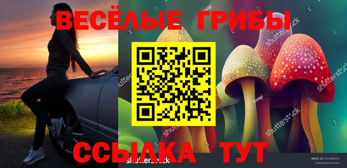 Псилоцибиновые грибы Magic Shrooms Курган