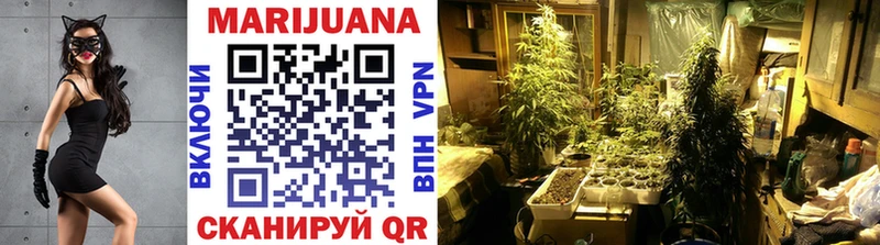 сколько стоит  Курган  Шишки марихуана Bruce Banner 